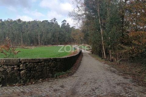 Helårsgrund i Barcelos, Braga, Barcelos - € 150.000 | Ref: ZMPT548054 - foto 5