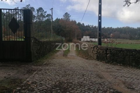 Helårsgrund i Barcelos, Braga, Barcelos - € 150.000 | Ref: ZMPT548054 - foto 9