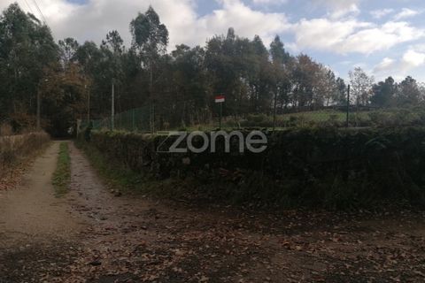 Helårsgrund i Barcelos, Braga, Barcelos - € 150.000 | Ref: ZMPT548054 - foto 11