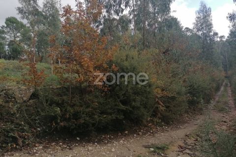 Helårsgrund i Barcelos, Braga, Barcelos - € 150.000 | Ref: ZMPT548054 - foto 14
