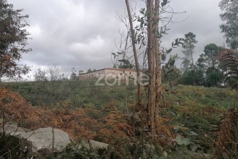 Helårsgrund i Barcelos, Braga, Barcelos - € 150.000 | Ref: ZMPT548054 - foto 17