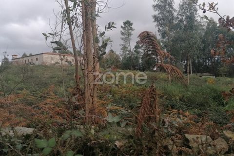 Helårsgrund i Barcelos, Braga, Barcelos - € 150.000 | Ref: ZMPT548054 - foto 18