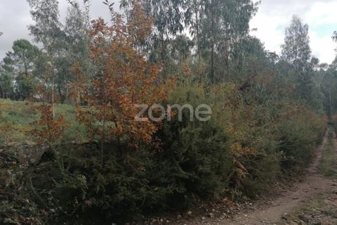 Helårsgrund i Barcelos, Braga, Barcelos - € 150.000 | Ref: ZMPT548054 - foto 19