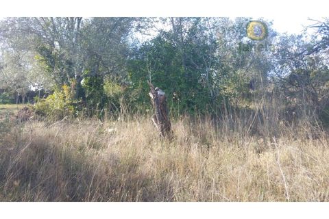 Helårsgrund i Alte, Faro, Alte - € 21.000 | Ref: TR12751 - foto 2