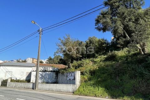 Terra a Rio Tinto, Porto, Rio Tinto - € 665.000 | Ref: ZMPT547806 - foto 4