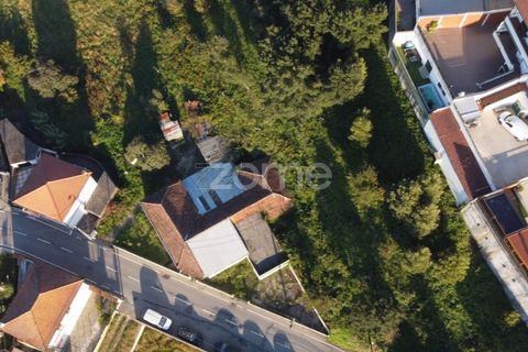 Terra a Rio Tinto, Porto, Rio Tinto - € 665.000 | Ref: ZMPT547806 - foto 10