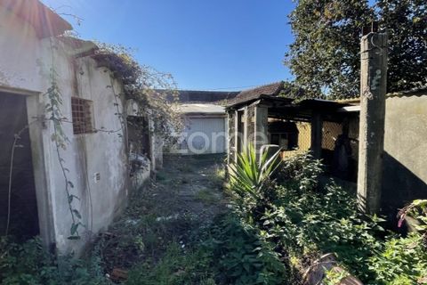 Terra a Rio Tinto, Porto, Rio Tinto - € 665.000 | Ref: ZMPT547806 - foto 12
