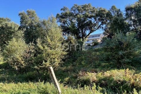 Terra a Rio Tinto, Porto, Rio Tinto - € 665.000 | Ref: ZMPT547806 - foto 14