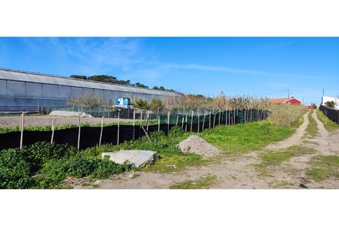 Helårsgrund i Torres Vedras, Lisbon, Torres Vedras - € 249.000 | Ref: TER_101 - foto 3