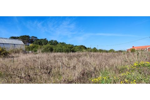 Helårsgrund i Torres Vedras, Lisbon, Torres Vedras - € 249.000 | Ref: TER_101 - foto 5