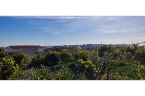Helårsgrund i Torres Vedras, Lisbon, Torres Vedras - € 249.000 | Ref: TER_101 - foto 6
