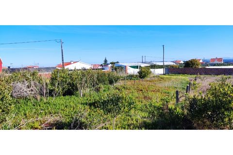 Helårsgrund i Torres Vedras, Lisbon, Torres Vedras - € 249.000 | Ref: TER_101 - foto 7