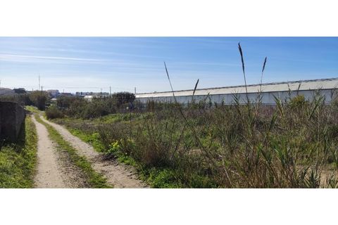 Helårsgrund i Torres Vedras, Lisbon, Torres Vedras - € 249.000 | Ref: TER_101 - foto 8