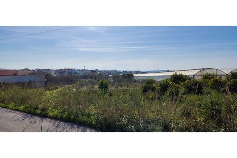 Helårsgrund i Torres Vedras, Lisbon, Torres Vedras - € 249.000 | Ref: TER_101 - foto 9