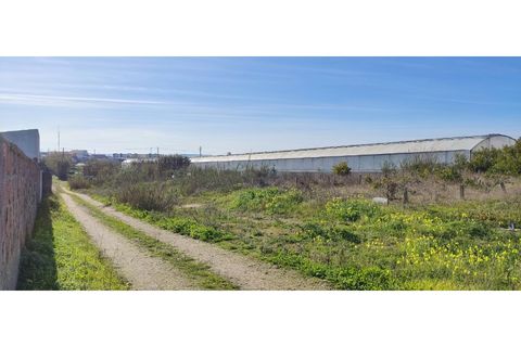 Helårsgrund i Torres Vedras, Lisbon, Torres Vedras - € 249.000 | Ref: TER_101 - foto 10