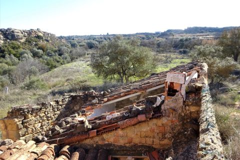 Finca i Caspe, Zaragoza, Caspe - € 29.000 | Ref: 0774 - foto 22