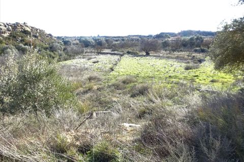 Finca i Caspe, Zaragoza, Caspe - € 29.000 | Ref: 0774 - foto 9