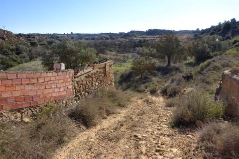 Finca i Caspe, Zaragoza, Caspe - € 29.000 | Ref: 0774 - foto 8