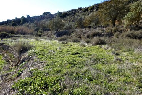 Finca i Caspe, Zaragoza, Caspe - € 29.000 | Ref: 0774 - foto 14