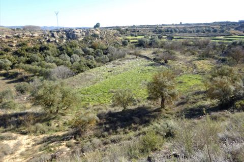 Finca i Caspe, Zaragoza, Caspe - € 29.000 | Ref: 0774 - foto 11