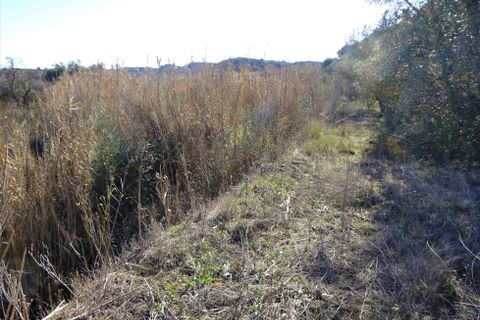 Finca i Caspe, Zaragoza, Caspe - € 29.000 | Ref: 0774 - foto 15