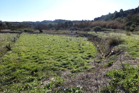 Finca i Caspe, Zaragoza, Caspe - € 29.000 | Ref: 0774 - foto 13