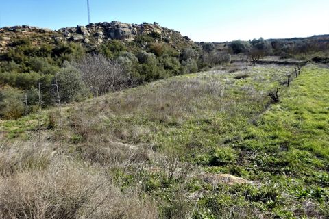 Finca i Caspe, Zaragoza, Caspe - € 29.000 | Ref: 0774 - foto 12