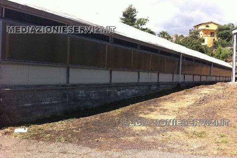 Farm i Mascali, Catania, Mascali - € 1.200.000 | Ref: 77 - foto 3