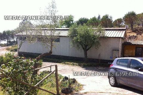 Farm i Mascali, Catania, Mascali - € 1.200.000 | Ref: 77 - foto 4