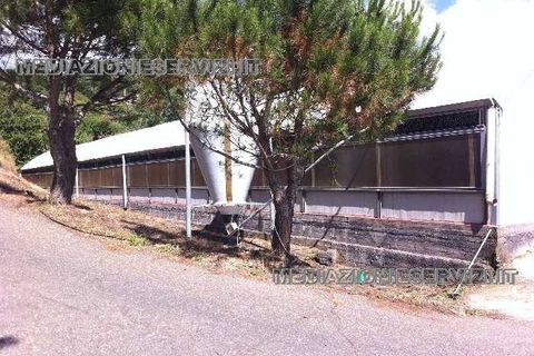 Farm i Mascali, Catania, Mascali - € 1.200.000 | Ref: 77 - foto 6