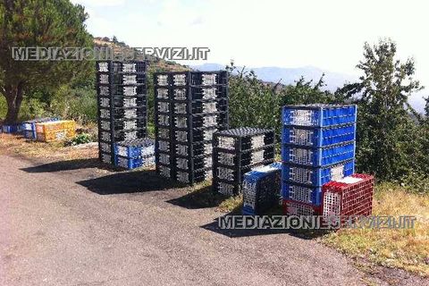 Farm i Mascali, Catania, Mascali - € 1.200.000 | Ref: 77 - foto 8