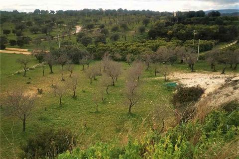 Herregård i Noto, Siracusa, Noto - € 350 000 | Ref: 10T - foto 4