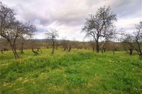 Herregård i Noto, Siracusa, Noto - € 350 000 | Ref: 10T - foto 5