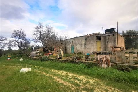 Herregård i Noto, Siracusa, Noto - € 350 000 | Ref: 10T - foto 6
