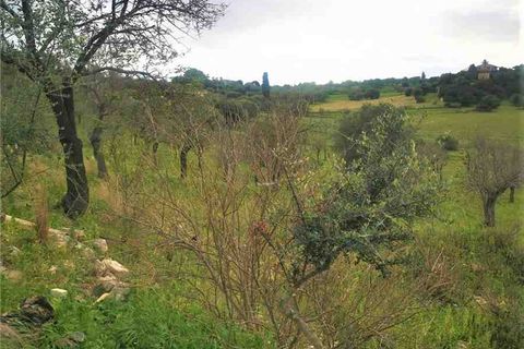 Herregård i Noto, Siracusa, Noto - € 350 000 | Ref: 10T - foto 8