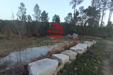 Terra a Santos Evos, Viseu, Santos Evos - € 38.000 | Ref: VM2038 B - foto 2