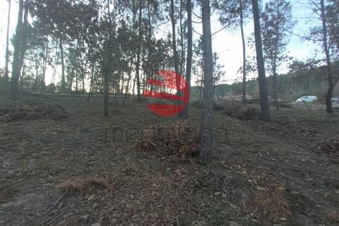 Terra a Santos Evos, Viseu, Santos Evos - € 59.000 | Ref: VM2038 A - foto 2