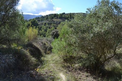 Terra a Beniarda, Alicante, Beniarda - € 39.000 | Ref: 6351 - foto 3