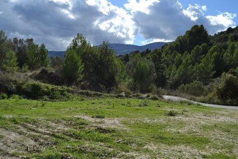 Terra a Beniarda, Alicante, Beniarda - € 39.000 | Ref: 6351 - foto 5