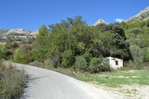 Terra a Beniarda, Alicante, Beniarda - € 39.000 | Ref: 6351 - foto 6