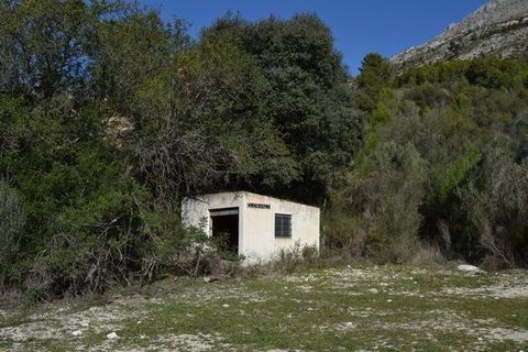 Terra a Beniarda, Alicante, Beniarda - € 39.000 | Ref: 6351 - foto 2