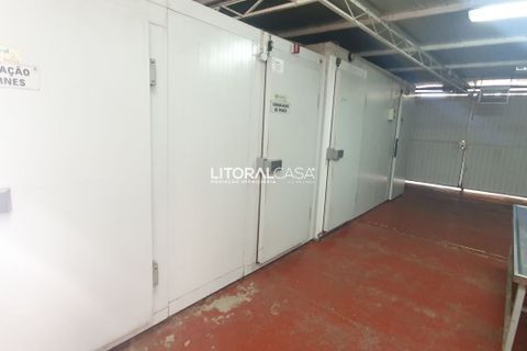Lejlighed i Agueda, Aveiro, Agueda - € 1.100.000 | Ref: VEN-3385 - foto 13