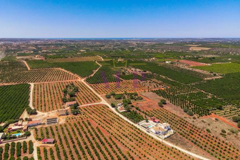 Villa i Algoz, Faro, Algoz - € 785.000 | Ref: 123ALG - foto 25
