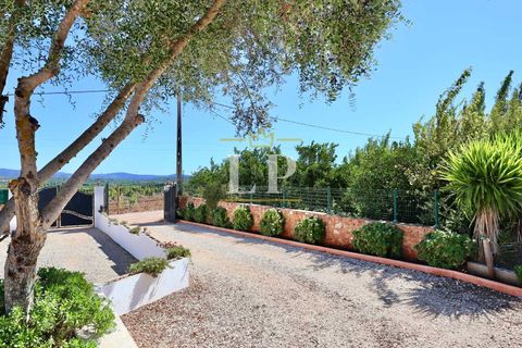 Villa i Algoz, Faro, Algoz - € 785.000 | Ref: 123ALG - foto 27