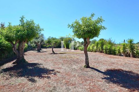 Villa i Algoz, Faro, Algoz - € 785.000 | Ref: 123ALG - foto 29
