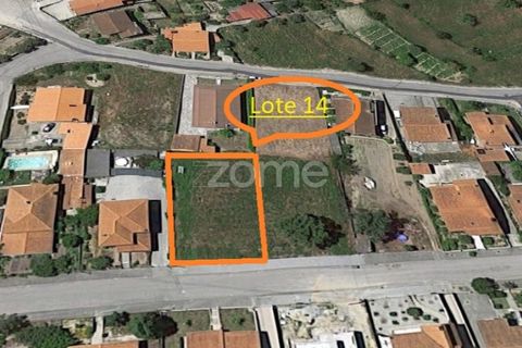 Terra a Nelas, Viseu, Nelas - € 33.000 | Ref: ZMPT548369 - foto 2