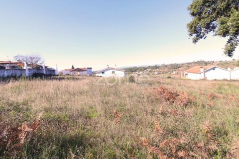 Terra a Nelas, Viseu, Nelas - € 33.000 | Ref: ZMPT548369 - foto 4