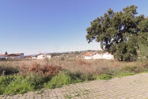 Terra a Nelas, Viseu, Nelas - € 33.000 | Ref: ZMPT548369 - foto 5