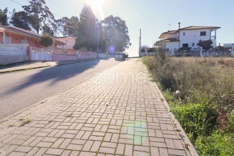 Terra a Nelas, Viseu, Nelas - € 33.000 | Ref: ZMPT548369 - foto 6