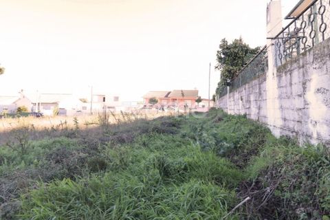Terra a Nelas, Viseu, Nelas - € 33.000 | Ref: ZMPT548369 - foto 7